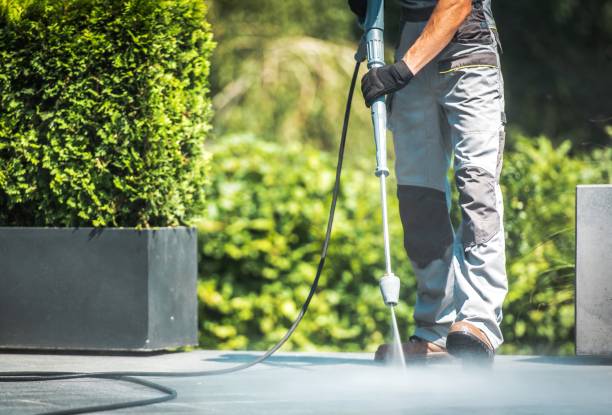 Best Brick and Stone Cleaning in Ormond Beach, FL