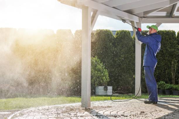Best Brick and Stone Cleaning in Ormond Beach, FL